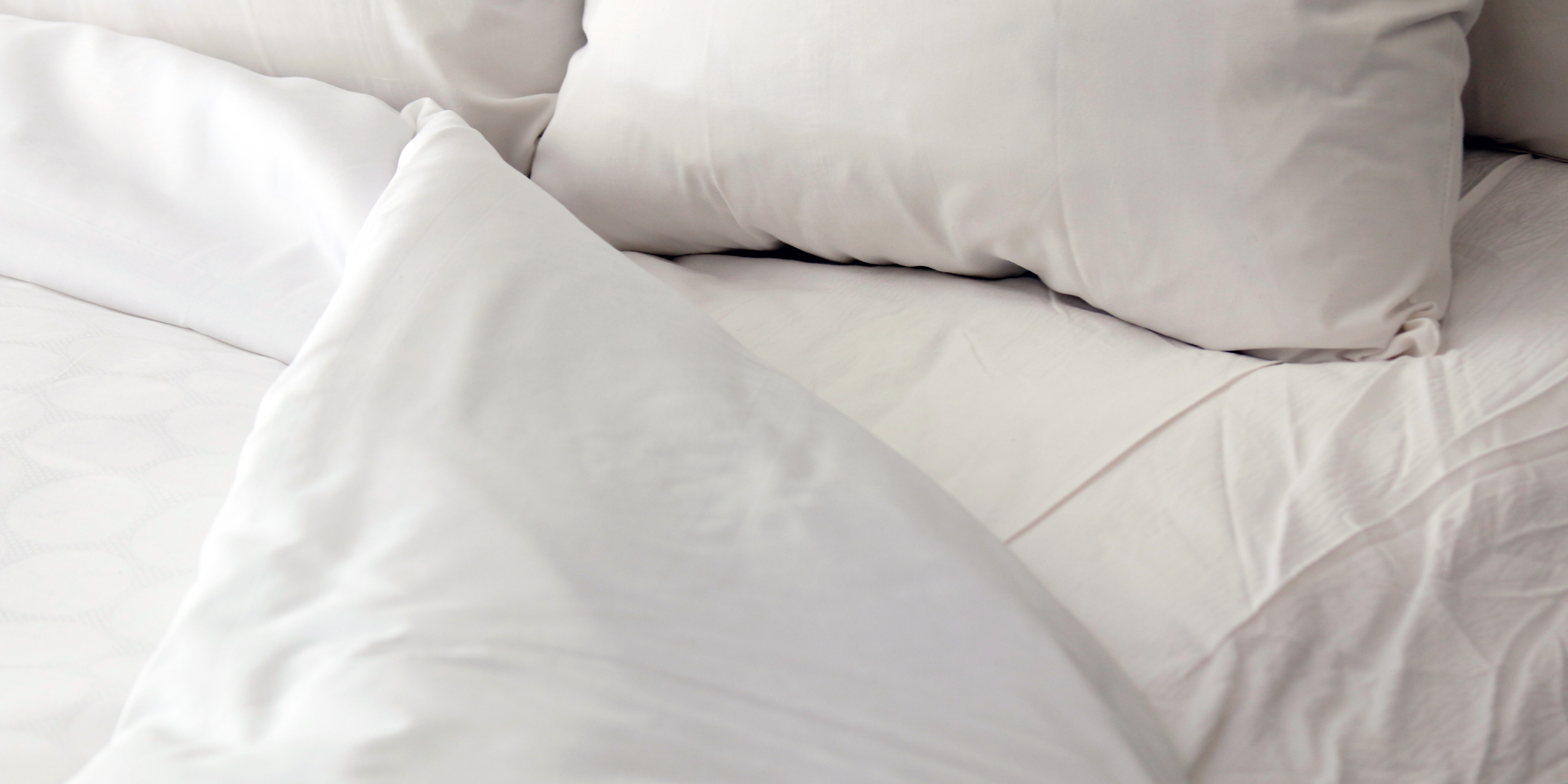 3 Benefits of Herbs on Sleep