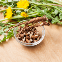 Thumbnail for Dandelion Root Tea Loose Leaf 100g - Certified Organic