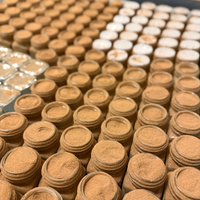 Thumbnail for Ceylon Cinnamon Powder 45g - Certified Organic