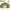 Grand Herb & Spice Bundle