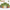 Grand Herb & Spice Bundle