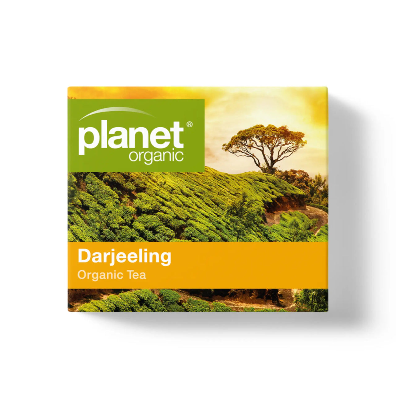 Organic Darjeeling Tea Great Taste