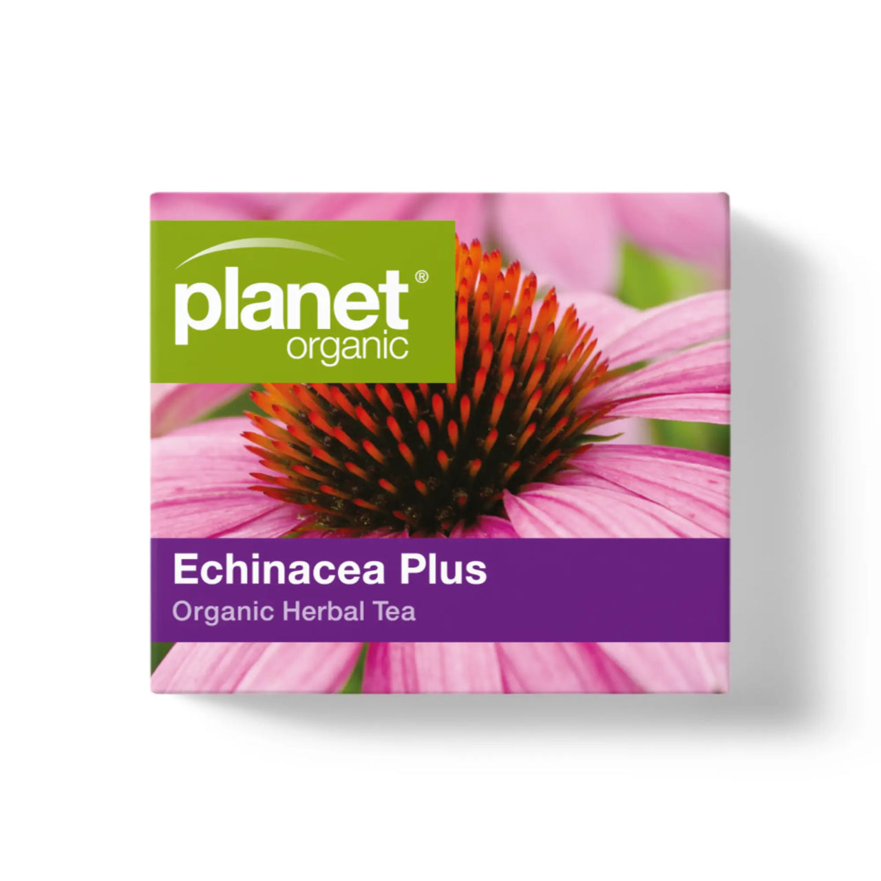 Organic Echinacea Tea Recipe