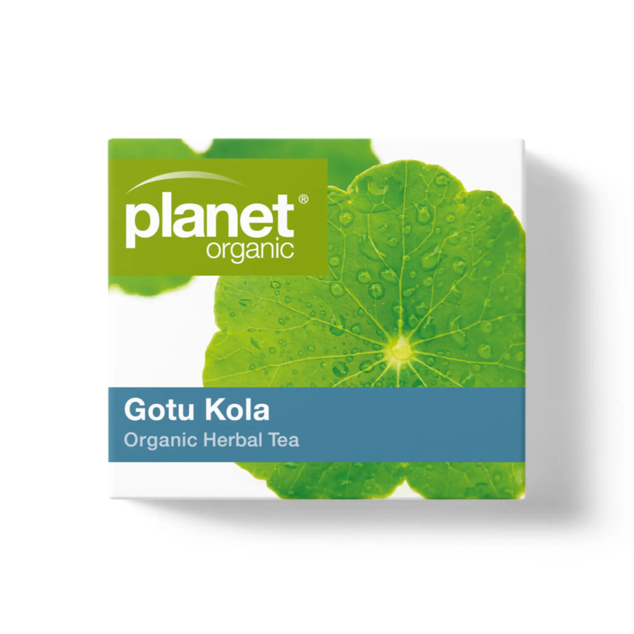 Organic Gotu Kola Tea Skin Benefits