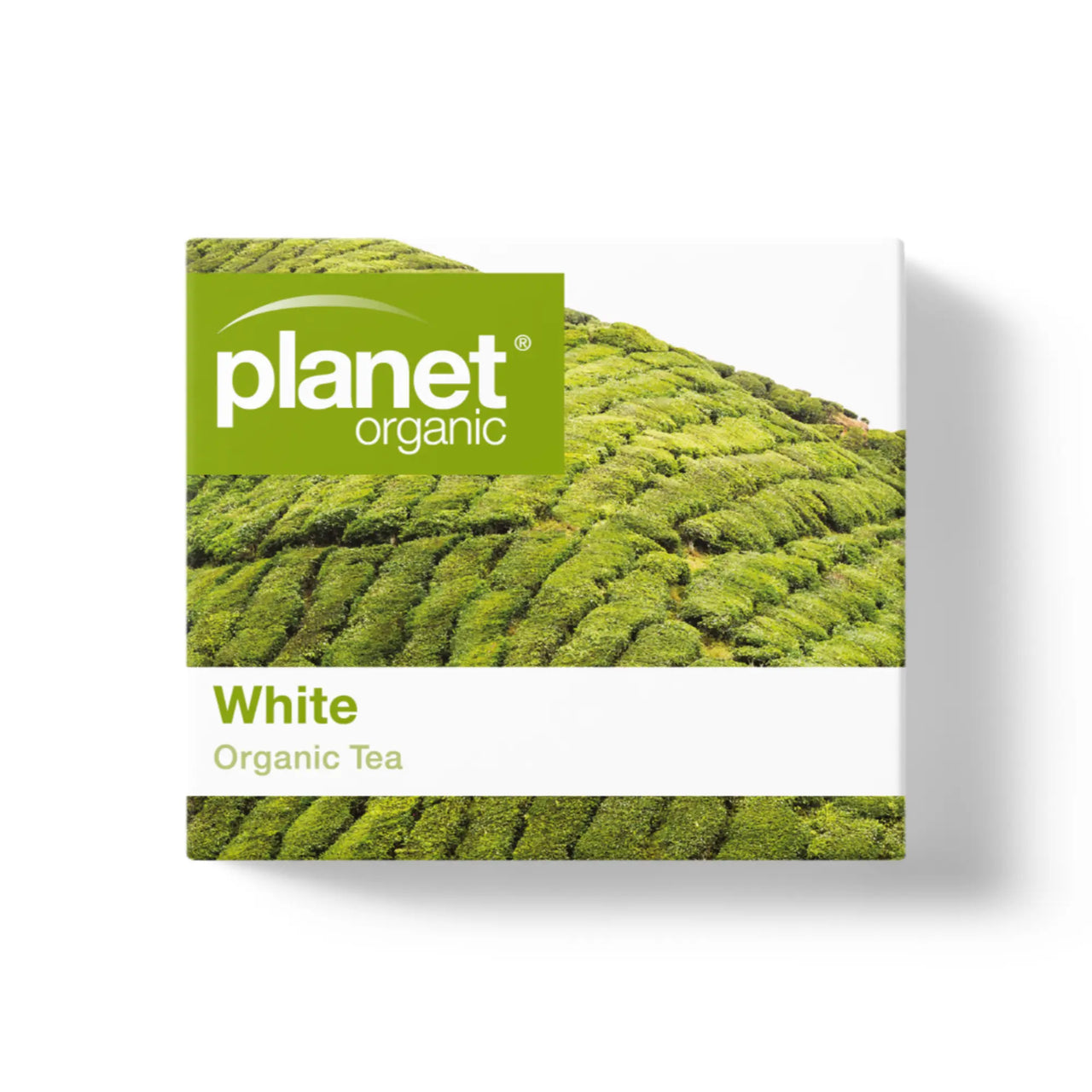 Organic White Tea Bags Australia