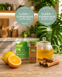 Thumbnail for Spearmint 25 Teabags - Certified Organic